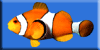  weiter zum Aquarium